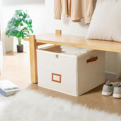 Alcove™ – Adjustable Compartment Fabric Shoe Storage Box with Dust-Cover Lid + 50% OFF