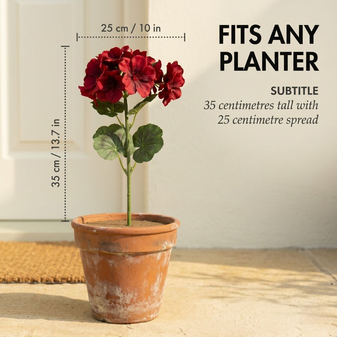 Bloomcroft™ – UV-Resistant Water-Dyed Silk Geraniums for Outdoor &amp; Indoor Decor + 50% OFF