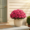 Bloomcroft™ – UV-Resistant Silk Azalea Bundles with Bendable Stems 50 % OFF