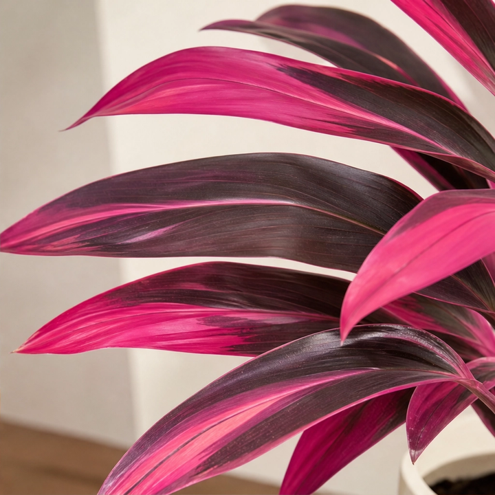 Briar &amp; Bloom™ – Vibrant Pink &amp; Purple Faux Boston Fern Plants + 50% OFF