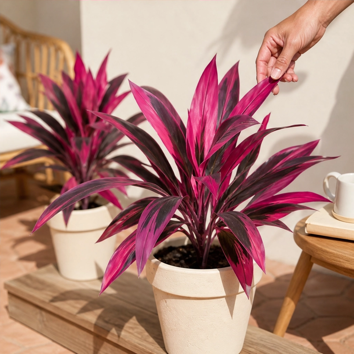 Briar &amp; Bloom™ – Vibrant Pink &amp; Purple Faux Boston Fern Plants + 50% OFF