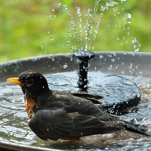 The AuraFlow Solar Fountain — Instant Garden Vitality + 50% OFF